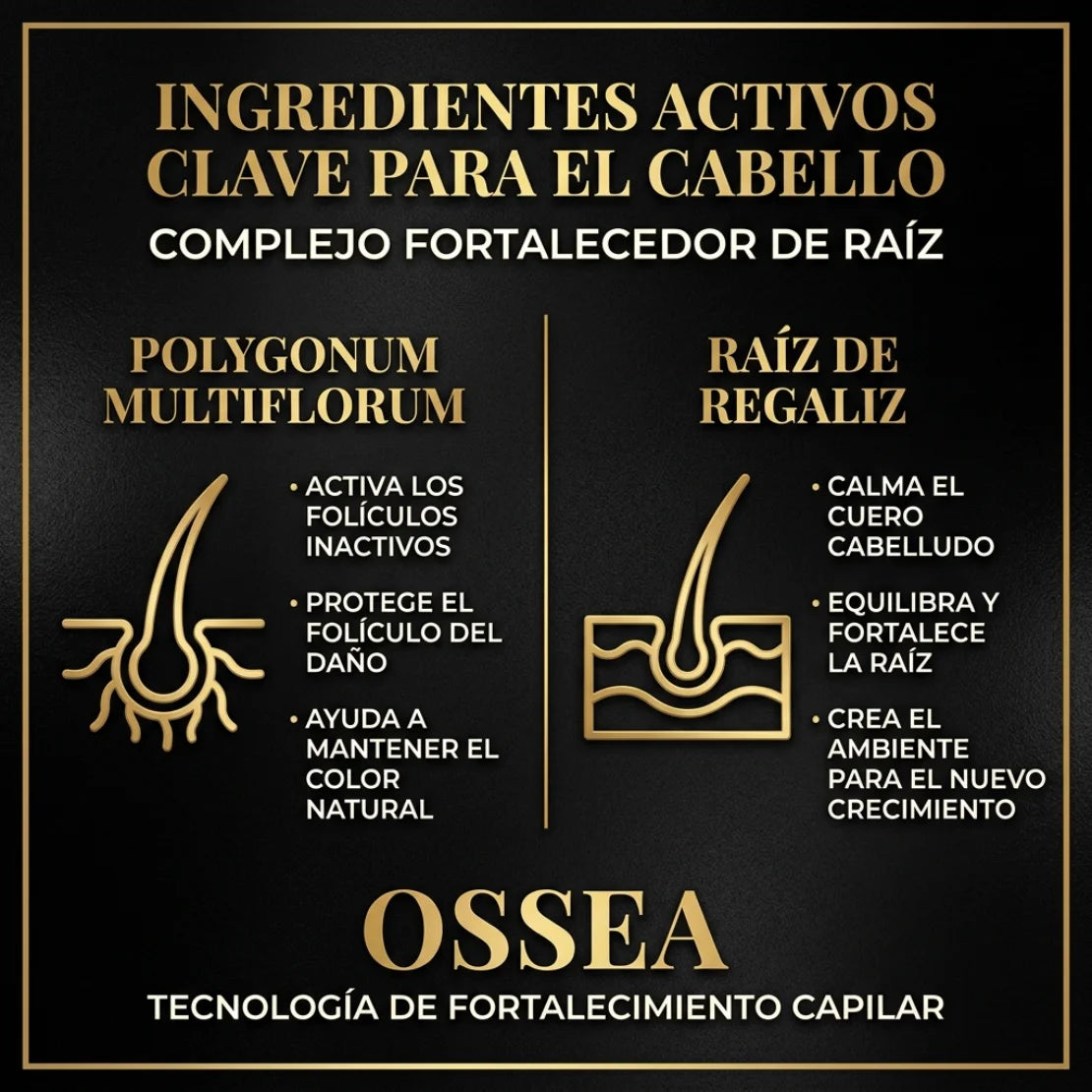 Ossea™ Shampoo Anticaída y Crecimiento
