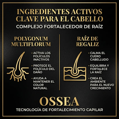 Ossea™ Shampoo Anticaída y Crecimiento